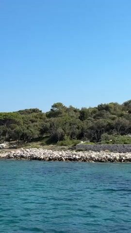 This media file captures a scenic view of a rocky coastline with lush green trees, under a clear blue sky. The camera appears to be mounted on a boat, moving slowly through the turquoise water. The water is calm with gentle ripples, reflecting the bright daylight.

On the shore, a mix of large, light-colored rocks and smaller stones creates a natural embankment. Behind the rocks, a dense forest of various trees, primarily evergreens, covers the sloping hillside. The trees are varied in height and density, creating a natural, untamed landscape. There are a few scattered white objects that could be boats or buoys visible on the water near the shore and further out.

The scene suggests a peaceful, sunny day, likely in the late morning or early afternoon given the bright light and clear sky. The location appears to be a natural, undeveloped coastal area, possibly an island or a secluded bay. The overall mood is tranquil and serene, evoking a sense of relaxation and natural beauty. There is no visible text in the media file. The context provided indicates this is Mali Lošinj, Croatia, which aligns with the description of a Mediterranean coastal landscape with clear waters and rocky shores.
