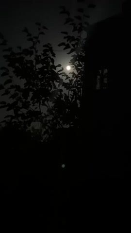 A nighttime video shows a full moon visible through the branches of a silhouetted tree. A dark building with a window is also visible in silhouette on the right side of the frame. The overall scene is dark and moody, with the moonlight providing the primary source of illumination.