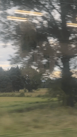 Train passenger films rural Italian countryside near Ferno