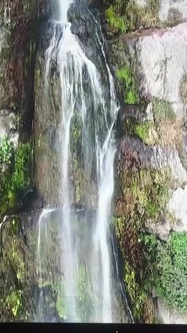 This is a close-up video of a waterfall cascading down a rocky, moss-covered cliff face. The water is white and frothy as it tumbles over the uneven surfaces, creating a dynamic and powerful visual. The rocks are various shades of gray and brown, with patches of vibrant green moss clinging to them, suggesting a damp and thriving environment. The overall scene is one of natural beauty and tranquility, with the sound of the rushing water likely being a dominant element. The time of day and weather are not discernible from the image alone, but the lush greenery implies a climate conducive to plant growth. No people or man-made objects are visible, focusing the viewer's attention entirely on the natural spectacle of the waterfall. The location context provided, Valladolid, Spain, adds a geographical element to the scene, though it doesn't offer specific visual clues within the frame itself. There is no visible text in the video.