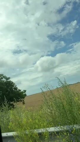 The video is shot from the perspective of a vehicle moving along a road, likely a car, as evidenced by the side mirror visible in the lower left corner. The scene depicts a rural landscape under a cloudy sky. The immediate foreground is dominated by tall green grass and foliage, with some purple wildflowers visible. To the right, a large, leafy green tree is prominent. Further into the background, a field of what appears to be dry grass or crops stretches towards the horizon. A tall, slender electrical pylon can be seen in the distance in the left half of the frame. The sky is a mix of blue patches and large, white cumulus clouds, suggesting a partly cloudy day. The overall impression is one of passing through a countryside setting.
