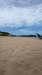 Wind damage hits Primorsko beach, billboard down