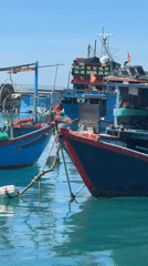 Fishing boats and aquaculture platforms spotted in Nha Trang harbor