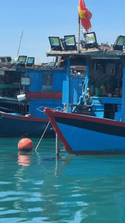 Fishing boats and aquaculture platforms spotted in Nha Trang harbor