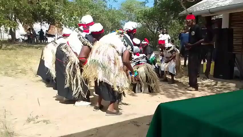Here is a concise description of the video: 

The video shows a group of people performing a traditional dance in an outdoor setting. They are dressed in elaborate costumes including white headwraps with red trim, white or light-colored shirts, black skirts or shorts, and decorative straw-like skirts or shawls. Some of the dancers are kneeling or crouching during the performance. There are also spectators watching the dance.

In the background, there are trees, a building with a white roof, and a green-covered table in the foreground. A few other people are visible in the background, some standing and some seated at tables. 

The video is taken from a static viewpoint.