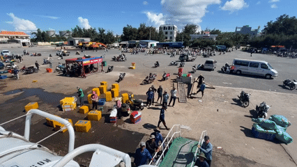 Cargo operations recorded at Vietnam port facility