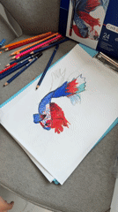 Child creates colorful fish drawing in Mukachevo, Ukraine