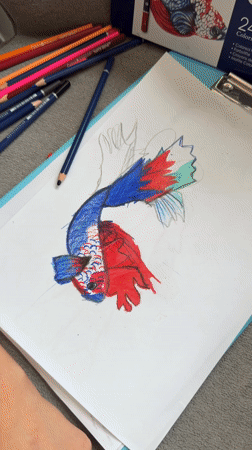 Child creates colorful fish drawing in Mukachevo, Ukraine
