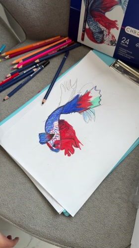 Child creates colorful fish drawing in Mukachevo, Ukraine
