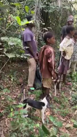A group of five children and three adults stand in a forested area, along with two dogs. The children are dressed in casual clothing, while one adult has a camouflage hat and another is carrying a long pole. A rifle leans against a tree. The group appears to be conversing. The environment is densely wooded with various trees and foliage.