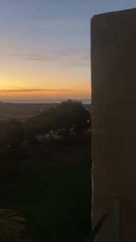 A video shows a sunset over a coastal landscape with palm trees and a building. The sky transitions from a deep blue to orange and yellow hues as the sun dips below the horizon. The sea is visible in the distance. The foreground is dominated by the dark silhouette of palm fronds and a portion of a building. The overall impression is one of peaceful evening beauty.