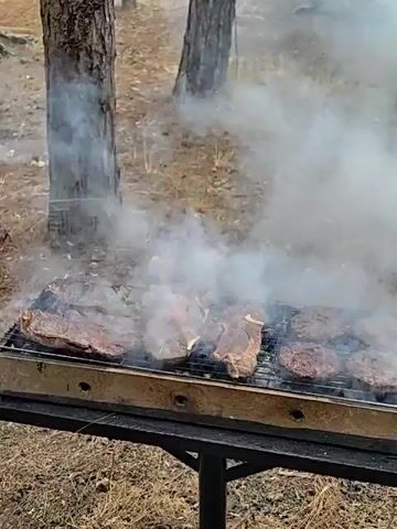 A video opens on a close-up of a barbecue grill with meat cooking. The grill is placed on a table, and smoke is rising from the food. The scene then pans out to reveal a wooded area with tall trees and dry grass. A picnic table with benches is visible in the background, along with more smoke rising from the ground. The video appears to be filmed in an outdoor setting, possibly a park or campground.