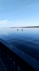 Recreational water activities observed in Chaikovsky, Russia waterfront