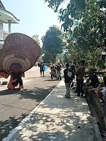 A group of people dressed in traditional Indonesian costumes are performing a dance on a paved road. The dancers are wearing colorful outfits, some with elaborate headdresses. One dancer is wearing a large, fan-like headdress, while another has a mask resembling an animal. They are moving in unison, performing various dance steps and gestures. Several spectators are watching the performance from the side of the road. The environment appears to be a rural area with houses and trees in the background. The sun is shining, indicating it is daytime. There are motorcycles parked on the side of the road, and a small market stall is visible. The overall scene suggests a cultural event or celebration.