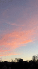 Aircraft contrails create sky patterns during urban sunset display