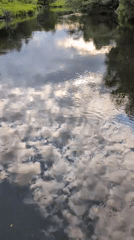Tourist documents scenic river walk on Russian suspension bridge