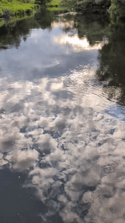 Tourist documents scenic river walk on Russian suspension bridge