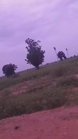 A moving shot of a rural landscape under a purple sky. Trees and vegetation are visible on a gently sloping hill. The foreground is a dirt path. In the distance, a fence and more trees can be seen. The overall impression is of a natural, undeveloped area.