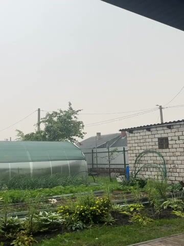 The video shows a rural backyard scene during a rain shower. In the foreground, there are several garden beds with green plants and some yellow flowers. A greenhouse is visible on the left side of the frame, and a brick building with a metal arch is on the right. Beyond the garden, there are blue barrels and some scattered debris. Trees and houses are in the background under a cloudy sky. The rain is visible as streaks against the sky and on the ground. There are no people visible in the video.