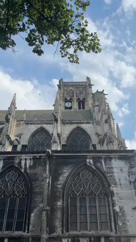 The video shows a low-angle shot of the exterior of a large, Gothic-style building, possibly a church or cathedral. The building is constructed of stone and features arched windows with intricate tracery. The stone appears weathered and stained, indicating age. Several levels of the building are visible, with ornate architectural details like spires and decorative carvings. At the very top of the main tower, a clock face is visible. In the upper left portion of the frame, the leaves and branches of a tree hang over the building, obscuring some of the sky. The sky is a mix of blue with scattered white clouds. The lighting suggests it is daytime, possibly late afternoon. There are no people or visible activities in the frame. The video pans slightly to the right, revealing more of the building's facade and a glimpse of a dark-colored roof structure topped with a bell tower. At the bottom of the frame, the tops of several parked cars are partially visible, suggesting the building is situated in an area accessible by road.