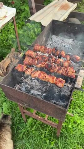 This video shows meat skewers cooking over a charcoal grill. The skewers are positioned horizontally on the grill, and the meat appears to be seasoned and browning nicely. Smoke is rising from the grill, indicating that the meat is actively cooking. The grill itself is made of metal and is sitting outdoors on a patch of grass. In the background, there are some green bushes and a portion of a wooden fence. A furry, possibly cat, animal is visible in the lower left corner of the frame. The video is shot from a slightly elevated angle, looking down at the grill.