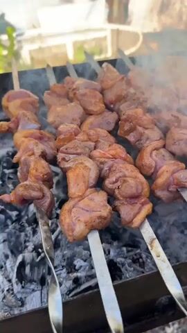 This video shows a close-up, eye-level view of multiple skewers of raw chicken pieces and chicken wings being grilled over hot coals. Smoke rises from the grill, indicating the cooking process. The chicken pieces appear to be seasoned with spices. The skewers are arranged horizontally on a metal grill. The background is slightly blurred, suggesting an outdoor setting, possibly a backyard or picnic area. There are no people clearly visible in the frame. The lighting is natural, suggesting it's daytime. The overall focus is on the food being cooked.