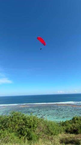 The video shows a red paraglider soaring against a vivid blue sky over a coastal landscape. The paraglider is positioned in the upper center of the frame, with a person suspended beneath it. The ocean stretches out below, with visible coral reefs beneath the turquoise water, transitioning to deeper blue further out. A strip of beach is visible between the reef and the deeper ocean. The foreground features lush green vegetation on what appears to be a hillside or cliff overlooking the sea.