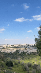 Spring blooms and green landscapes captured in Jerusalem parks