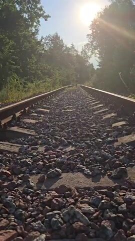 This video shows a low-angle, point-of-view shot of a set of railroad tracks. The tracks are surrounded by trees and vegetation on either side. The sun is shining brightly in the background, casting a warm glow over the scene and creating lens flare. The railroad ties appear to be made of concrete, and the ballast consists of small gray and reddish-brown rocks. In the distance, a dark, silhouetted figure, possibly an animal or a person, can be seen walking along the tracks away from the camera. The camera is moving forward along the tracks.