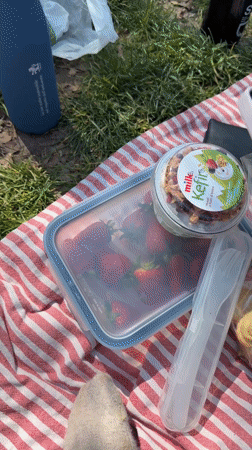 Visitor documents medieval art collection at Milan's Sforza Castle