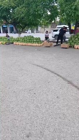 A person is pushing a cart filled with boxes past a large display of watermelons and melons. People are visible in the background interacting around the fruit stands. Cars and trees are also present in the scene.