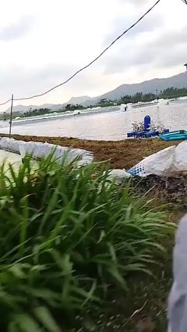 A shaky, first-person perspective video shows a rural scene with a body of water, possibly a pond or farm, in the background. In the foreground, a utility pole with a blue electrical box and numerous wires is visible. The pole is leaning, and several white sandbags are placed around its base, suggesting an attempt to stabilize it or prevent flooding. The water is dotted with what appear to be aerators, machines used to oxygenate water in aquaculture or agricultural settings. Beyond the water, hills or mountains can be seen under a cloudy sky. The ground is covered with dry grass and some scattered debris. The camera pans to the right, revealing more of the water and the aerators. The overall impression is one of an agricultural or industrial area in a natural landscape.