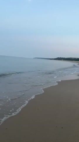 The video shows a serene beach scene at Bliznatsi, Bulgaria, likely at dawn or dusk given the soft, diffused light and the pale, hazy sky. The ocean is calm, with gentle waves lapping at the sandy shore, leaving a foamy trail as they recede. The water appears tranquil and reflects the muted tones of the sky, creating a peaceful and expansive atmosphere.

In the distance, along the coastline, a strip of land is visible, possibly with some vegetation or structures, but they are indistinct due to the atmospheric haze. The beach itself is composed of fine, light-colored sand, which appears damp near the water's edge. The overall mood is one of quietude and natural beauty, evoking a sense of calm and relaxation. There are no people or specific objects clearly visible, emphasizing the natural landscape. The time of day is suggested by the soft lighting and the faint presence of what might be a crescent moon in the upper left corner of the frame.