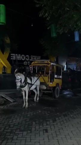 The scene takes place at night in an outdoor area with dim lighting. Two horse-drawn carriages, yellow and red, are parked. A white horse stands tethered to one of the carriages. In the background, a large "WELCOME" sign is visible, illuminated in white letters. Lanterns of various colors hang from a tree above. A red moped with two female riders passes in front of the horse and carriage. The ground is paved with brick.  A second horse and carriage is visible in the background.