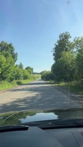 The video shows a view from the windshield of a car driving on a paved road. The road is lined with green trees and vegetation on both sides. The sky is clear and blue, indicating a sunny day. The car is moving forward on the road, which appears to be relatively straight with a slight incline ahead. There are power lines visible above the trees on the right side of the road. A yellow triangular road sign with an image on it is visible on the right side of the road. The reflection of the trees and sky can be seen on the car's hood.