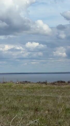 The video opens with a view of the horizon through a foreground of bare branches with budding leaves, transitioning into a panorama of a grassy field leading to a body of water under a partly cloudy sky. The grass in the field is a mix of green and dry brown. Sparse, leafless trees and a small building with a white roof are visible. The water appears calm, and the horizon line is marked by the distant shore. The sky is filled with layers of white and gray clouds, suggesting a partly cloudy or overcast day. The camera moves slightly, revealing more of the field and the water.