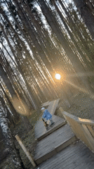 Family enjoys spring afternoon at Chaikovsky forest playground