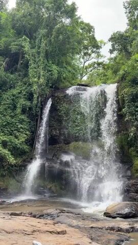 A majestic waterfall cascades down a rocky cliff face surrounded by lush green foliage. The water plunges into a pool at the bottom, creating a misty spray. The rocks in the foreground are wet and moss-covered, suggesting a humid environment. The trees are dense and varied, with some vines hanging down the cliff. The overall scene is serene and natural, with the sound of the rushing water being the dominant auditory element.