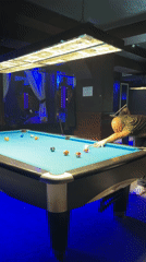 Man plays pool in dimly lit Stara Zagora bar
