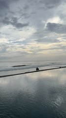 Mixed coastal and tropical scenes captured during morning hours