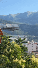 Early summer morning scenes across Budva's streets and seafront