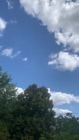 A vertical video shows a clear blue sky with scattered white clouds. The tops of several trees with dark green leaves are visible in the lower part of the frame, with some buildings peeking through the foliage. The scene is static, with no discernible movement apart from the subtle shifting of clouds. The lighting suggests it is daytime.