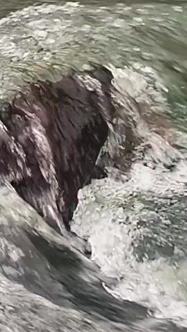 This media file is a close-up, still image of a dark, submerged object in a turbulent body of water. The object appears to be rock-like, with a rough, irregular surface. It is partially covered by frothy, white water, indicating a strong current or rapids. The water itself is a murky green-grey color, with ripples and waves suggesting movement. The lighting appears to be natural, and the overall impression is one of a wild, untamed natural environment. There is no visible text in the image. The location context of Blang Bebangka, Indonesia, suggests a tropical or subtropical setting, though the image itself does not provide specific cues to confirm this. The focus on the water and the submerged object creates a sense of raw natural power and movement.
