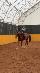 Woman rides, tends horses at Russian equestrian facility