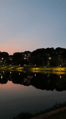 Peaceful lakeside moments captured around Xuan Huong Lake, Da Lat