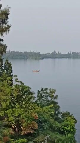 The video depicts a calm lake on a cloudy day. The water is a dark gray color and the sky is a light gray. Lush green foliage frames the lower left corner of the frame. In the distance, there is a stretch of land, possibly the lake’s edge, covered with trees. A small orange boat with people onboard is moving across the lake's surface. There are two small islands in the distance.