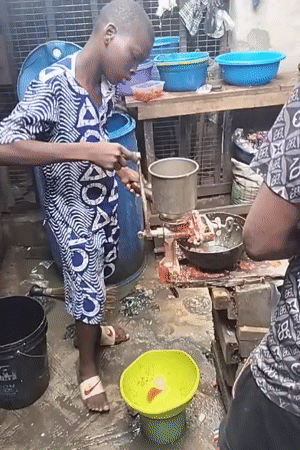 Food preparation and market activity documented in Alaiyabiagba