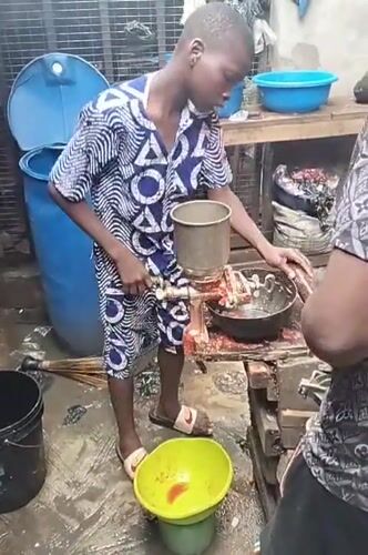 Food preparation and market activity documented in Alaiyabiagba