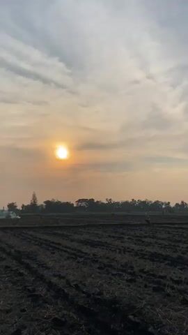 The video shows a wide shot of a tilled field at sunrise. The sun is a bright orb in the sky, partially obscured by clouds. The field is dark brown and appears to have been recently plowed, with rows of soil visible. In the distance, a line of trees forms the horizon. Two figures are visible in the field, one walking and another who appears to be working. There is smoke rising from the left side of the frame, suggesting a small fire or controlled burning. The sky is a mix of light gray and orange hues, indicative of early morning light. The overall scene conveys a sense of rural life and the beginning of a new day.