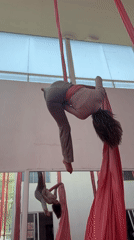 Woman practices aerial silks with dog companion in Mexican studio
